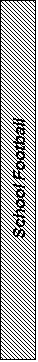 Text Box: School Football